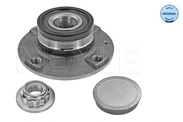 Wheel Hub (100 752 0010)