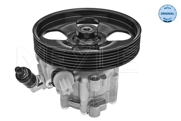 Hydraulic Pump, steering (40-14 631 0003)