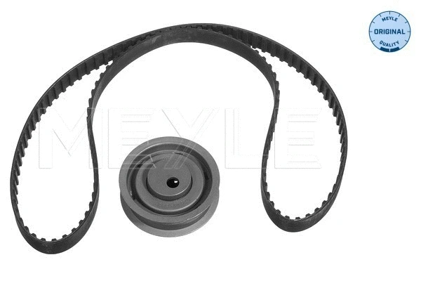 Timing Belt Kit (100 109 9002/S)