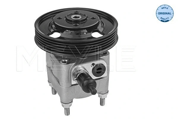 Hydraulic Pump, steering (514 631 0021)