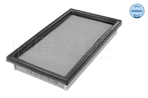 Air Filter (36-12 321 0004)