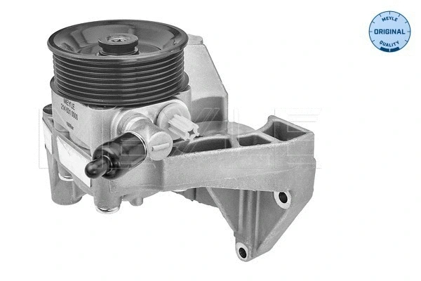 Hydraulic Pump, steering (214 631 0000)