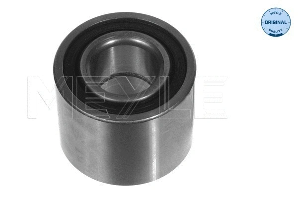 Wheel Bearing (014 098 0037)