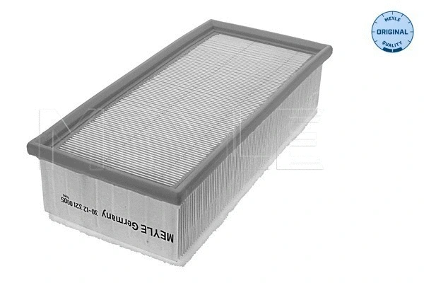 Air Filter (30-12 321 0005)