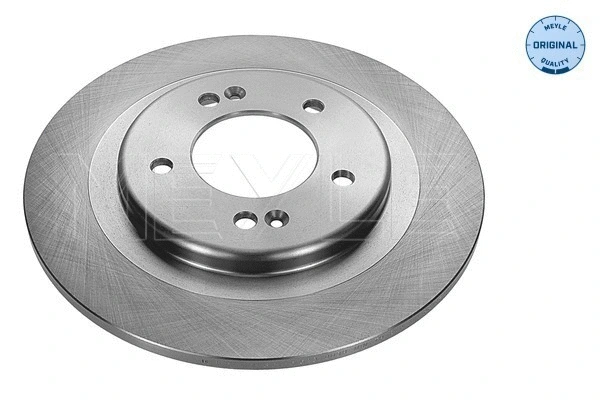 Brake Disc (37-15 523 0038)