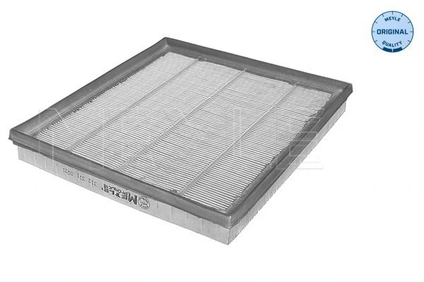 Air Filter (312 321 0021)
