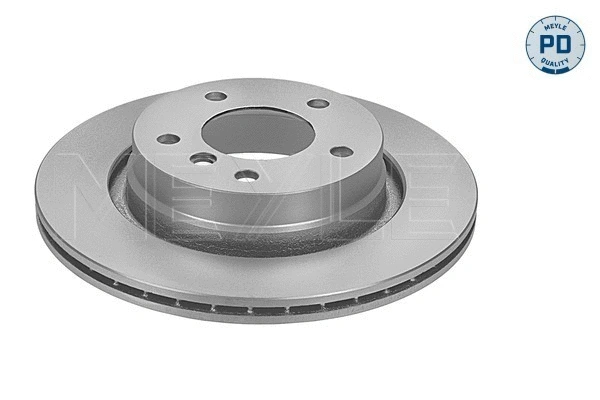 Brake Disc (315 523 0059/PD)