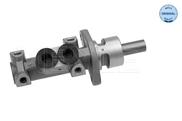 Brake Master Cylinder (100 611 0074)