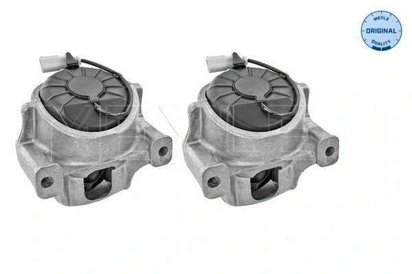 Mounting, engine