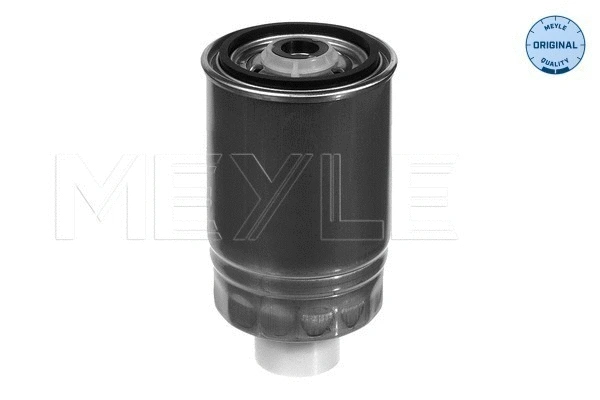 Fuel Filter (100 127 0005)