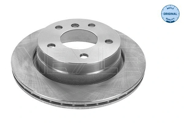 Brake Disc (315 523 0041)