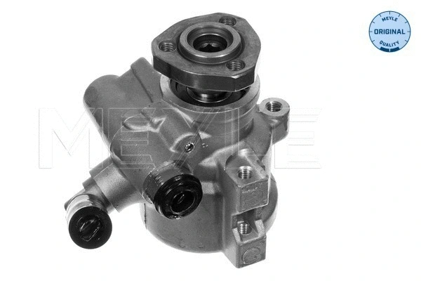 Hydraulic Pump, steering (114 631 0013)