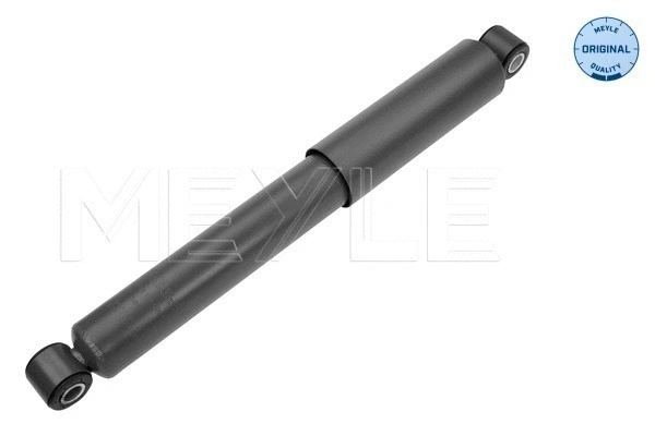 Shock Absorber (40-26 725 0001)