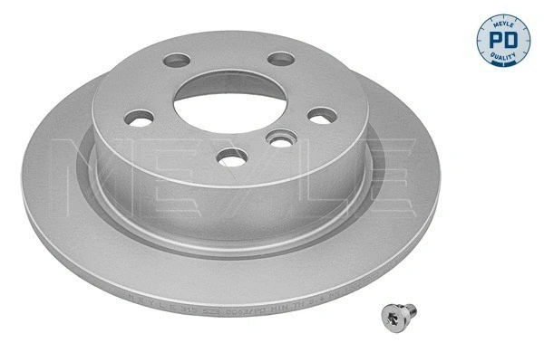 Brake Disc (315 523 0063/PD)