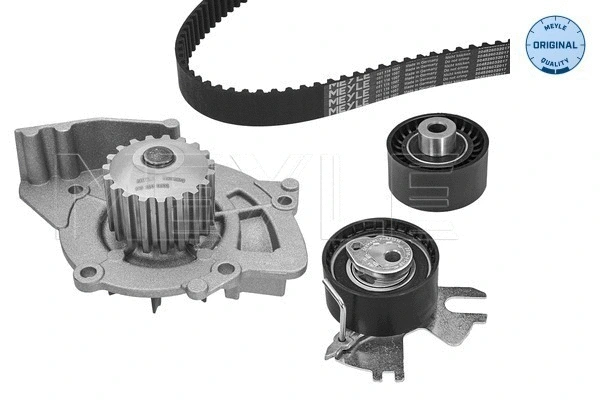 Water Pump & Timing Belt Kit (40-51 049 9010)