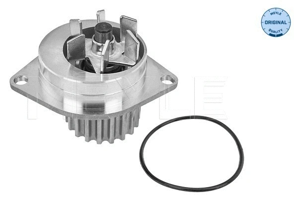 Water Pump, engine cooling (11-13 012 0102)