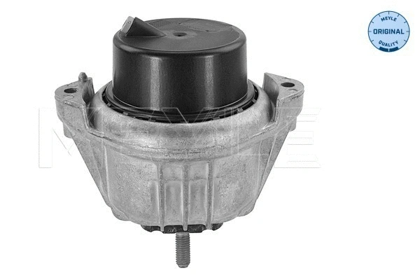 Mounting, engine (300 221 1126)