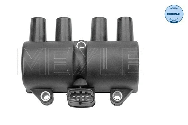 Ignition Coil (614 885 0010)