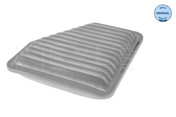 Air Filter (30-12 321 0031)