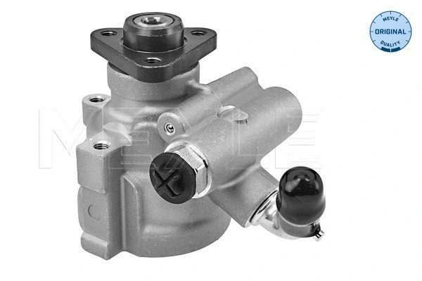 Hydraulic Pump, steering (214 631 0007)