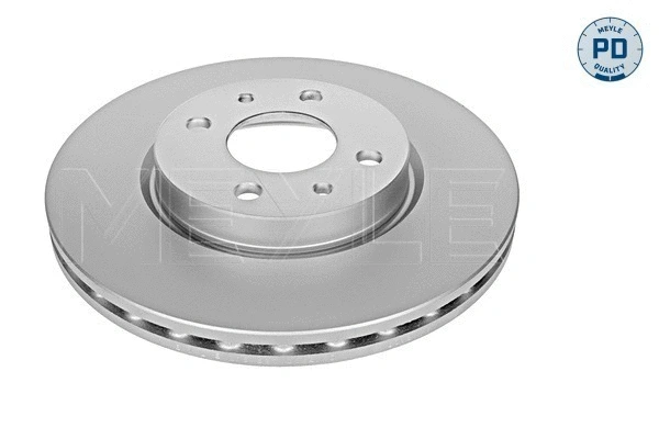 Brake Disc (215 521 0002/PD)