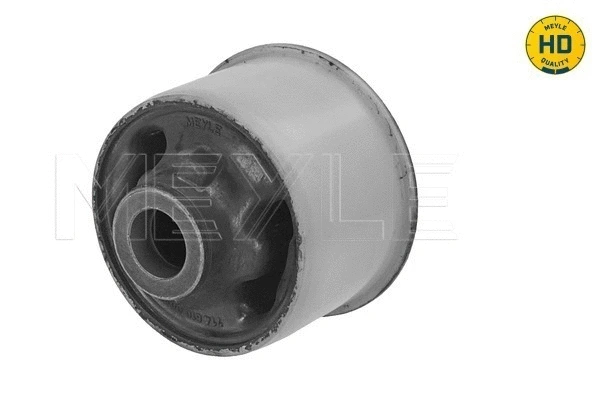 Mounting, control/trailing arm