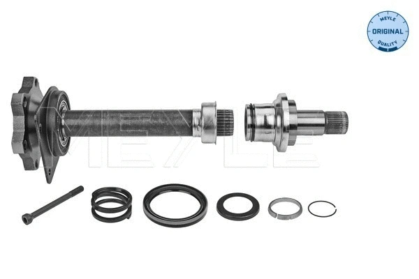 Stub Axle, differential (100 498 0244/S)