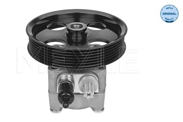 Hydraulic Pump, steering (514 631 0013)