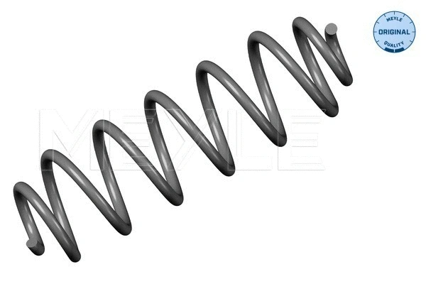 Suspension Spring (100 739 0054)