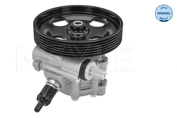 Hydraulic Pump, steering (11-14 631 0006)