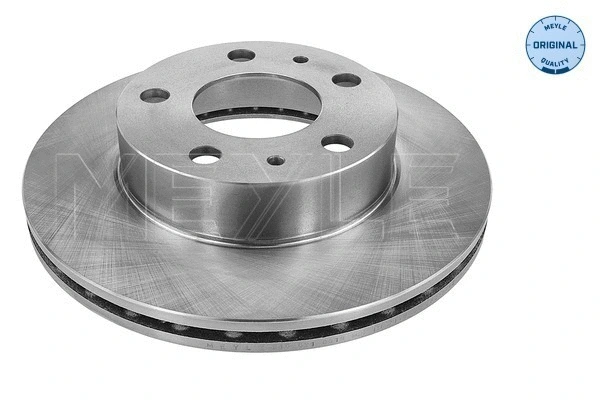 Brake Disc (215 521 0019)