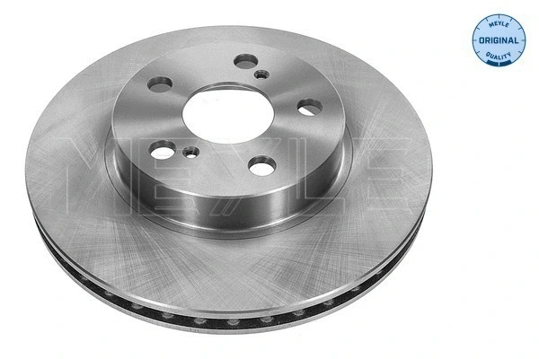 Brake Disc (30-15 521 0123)