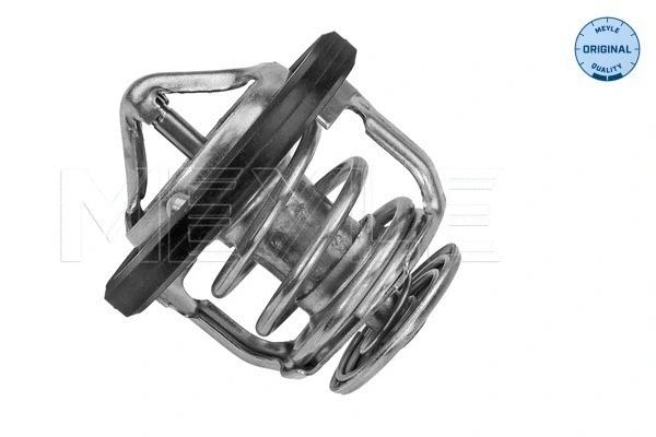 Thermostat, coolant (30-28 228 0001)