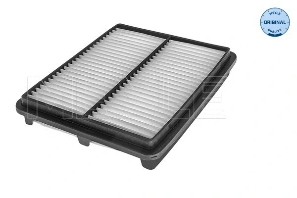 Air Filter (29-12 321 0008)