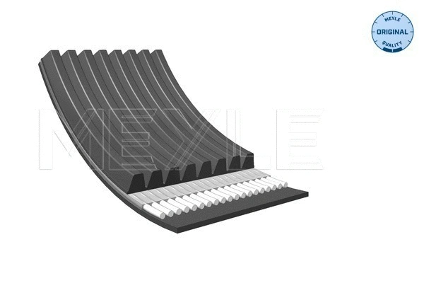V-Ribbed Belt (050 008 2622)