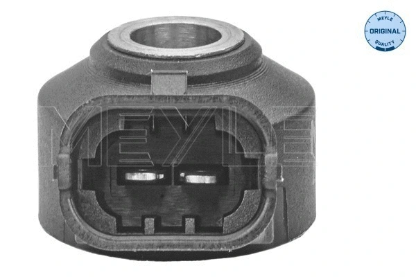Knock Sensor