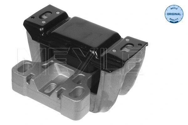 Mounting, engine (100 199 0069)