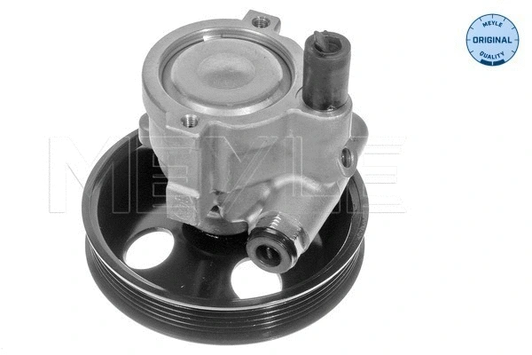 Hydraulic Pump, steering (614 631 0001)