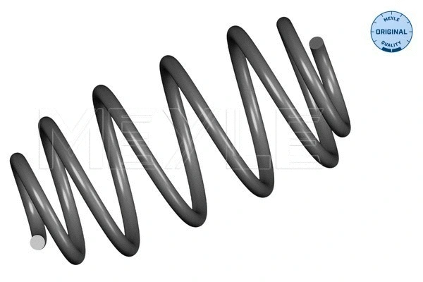 Suspension Spring (614 739 0020)