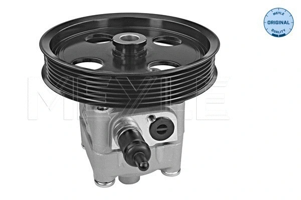 Hydraulic Pump, steering (514 631 0017)