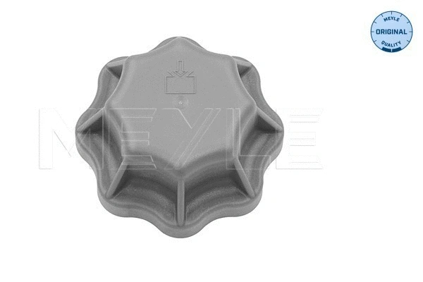 Cap, coolant tank (039 238 0001)