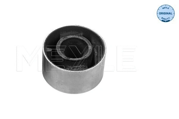 Mounting, control/trailing arm (300 311 3003)