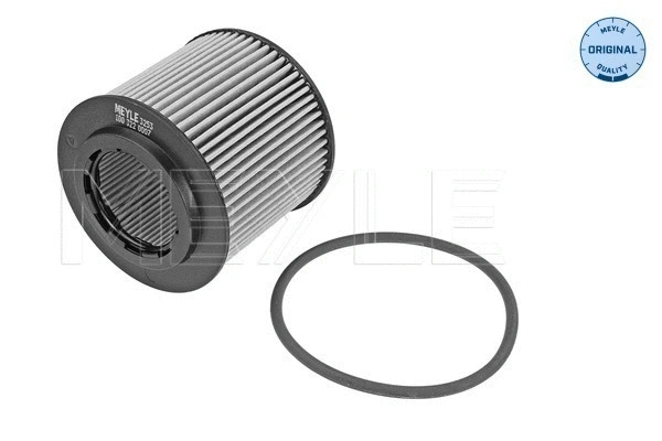 Oil Filter (100 322 0007)