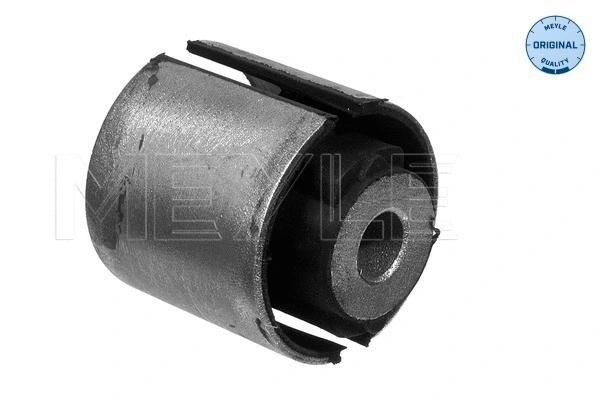 Mounting, control/trailing arm (100 407 0050)