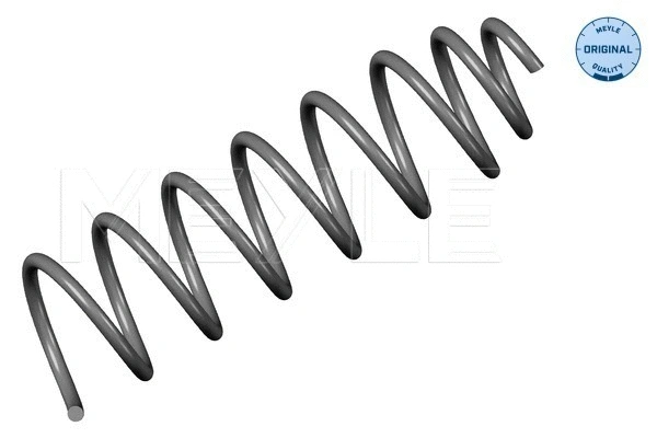 Suspension Spring (100 739 0037)