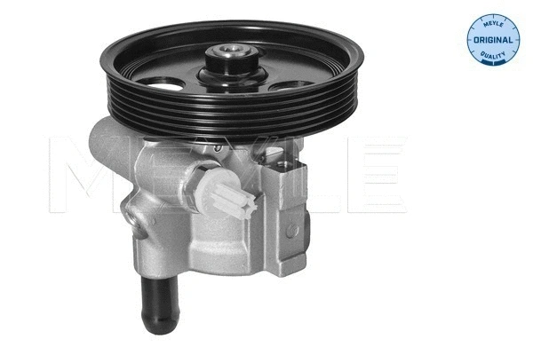 Hydraulic Pump, steering (16-14 631 0006)