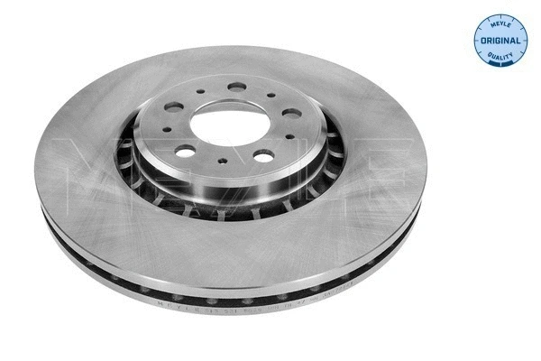 Brake Disc (515 521 5025)