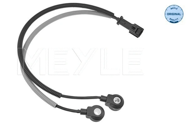 Knock Sensor (514 811 0000)