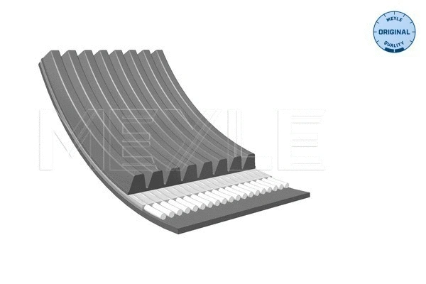 V-Ribbed Belt (050 008 1172)
