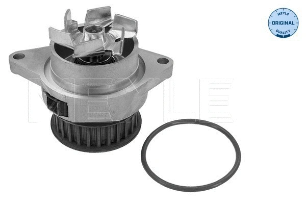 Water Pump, engine cooling (113 012 0024)